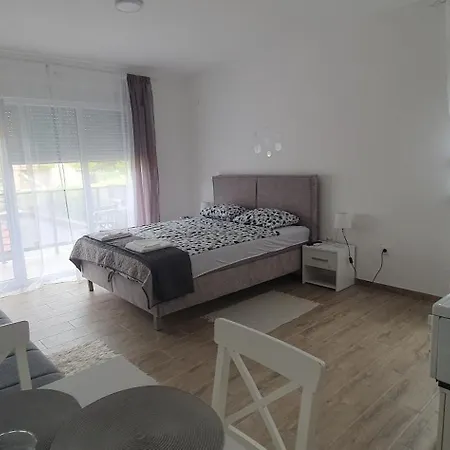 Zivkovic Apartman *
