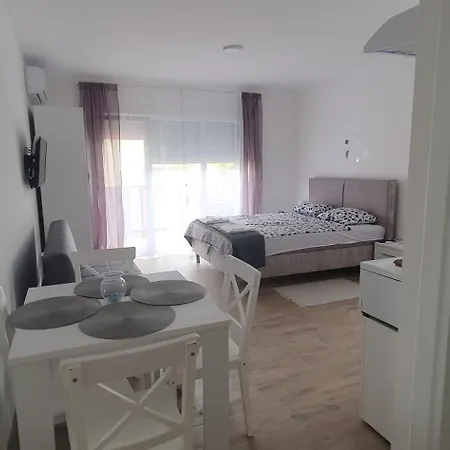 Zivkovic Apartment Veliko Gradiste