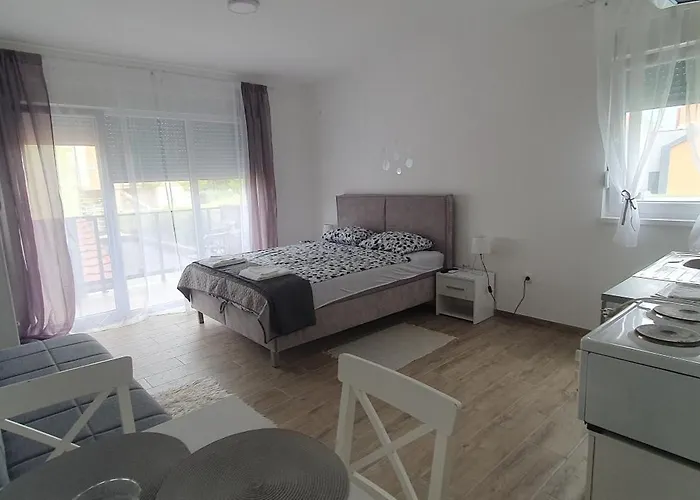 Zivkovic Apartman *